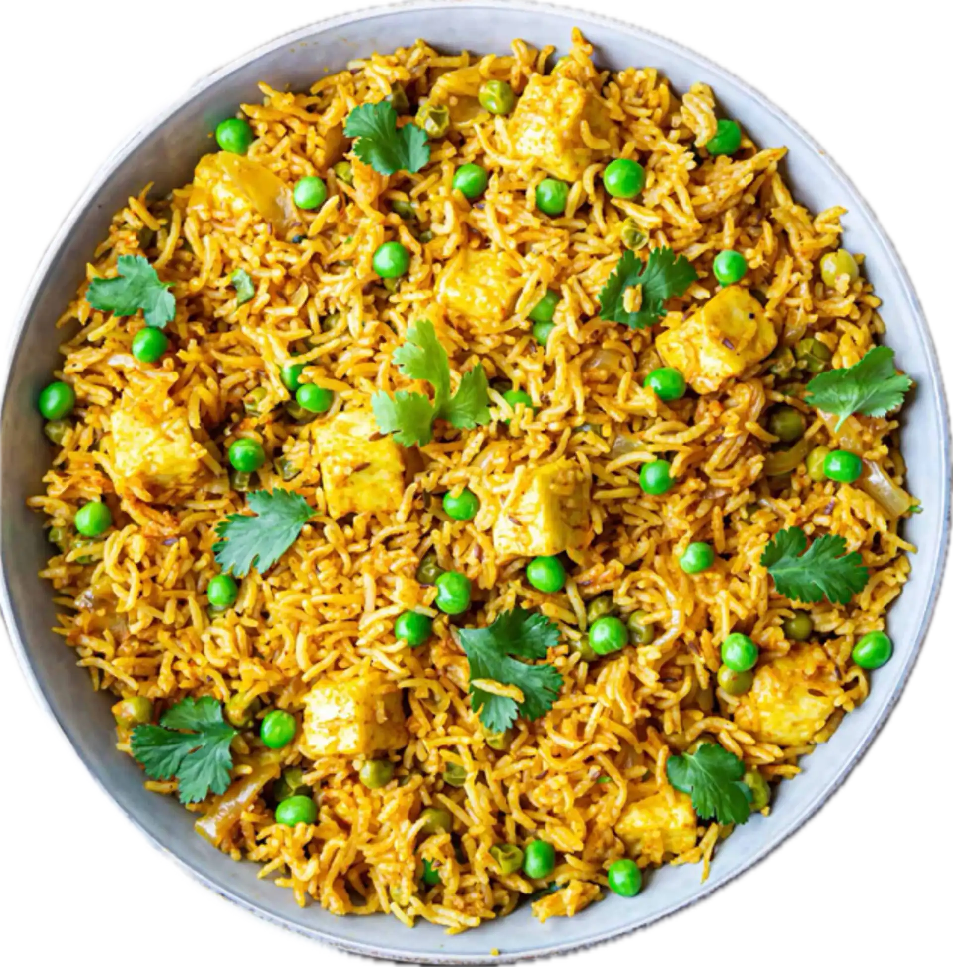 Hyderabadi Goat Biryani at Bread & Biryani Winnipeg